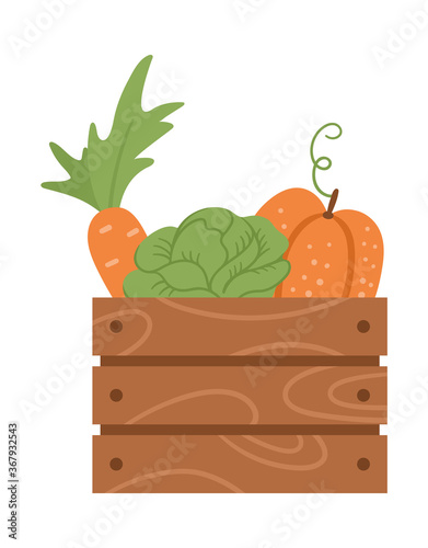 Vector cute wooden case with carrot, cabbage, pumpkin. Autumn harvest concept. Funny vegetable illustration isolated on white background. Flat style healthy food icon.