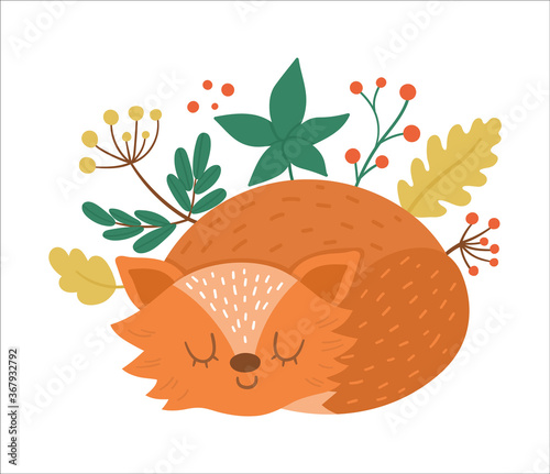 Cute composition with sleeping fox with. Vector autumn print design isolated on white background. Fall season woodland animal for sticker, postcard. Funny forest illustration..