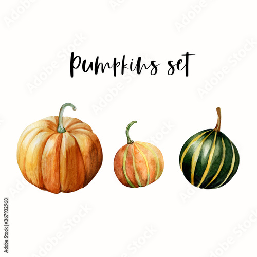 Watercolor hand painted realistic illustrations of 3 ripe orange and green pumpkins. Isolated elements on white background. Perfect for creating unique fall or thanksgiving designs.
