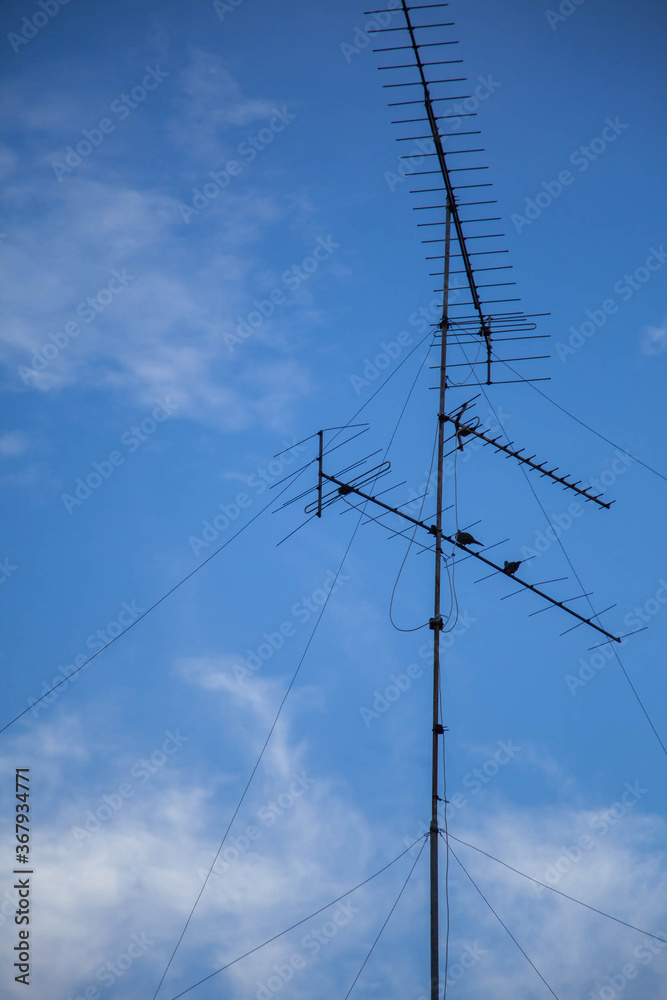 Television antenna and birds blue sky background. Television antenna and birds blue sky background.