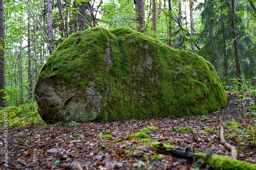 big stone covered in green wet moss