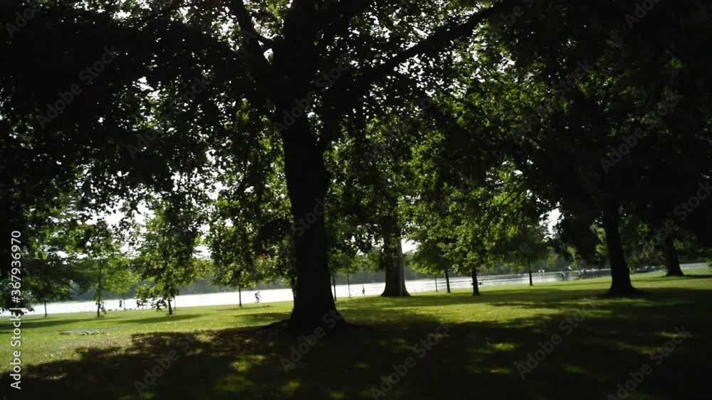 The sun glares through the shaded leaves of majestic trees with cyclists riding around a lake in the background and the bright green grass catching the light in one of the beautiful parks in London The sun glares through the shaded leaves of majestic trees with cyclists riding around a lake in the background and the bright green grass catching the light in one of the beautiful parks in London