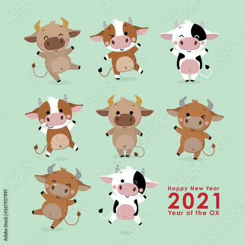 year of ox117Happy new year 2021 greeting card. The year of the ox. Cute cow and bull cartoon character. -Vector