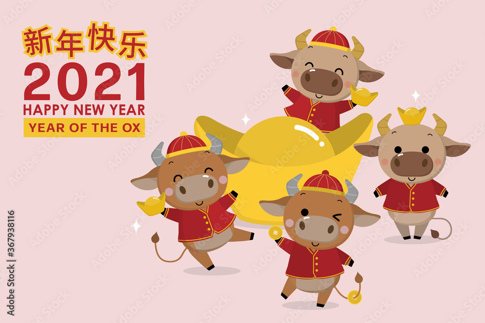 Happy Chinese new year greeting card. 2021 Ox zodiac. Cute cow in red costume and gold money. Animal holidays cartoon character. Translated: Happy new year. -Vector Happy Chinese new year greeting card. 2021 Ox zodiac. Cute cow in red costume and gold money. Animal holidays cartoon character. Translated: Happy new year. -Vector