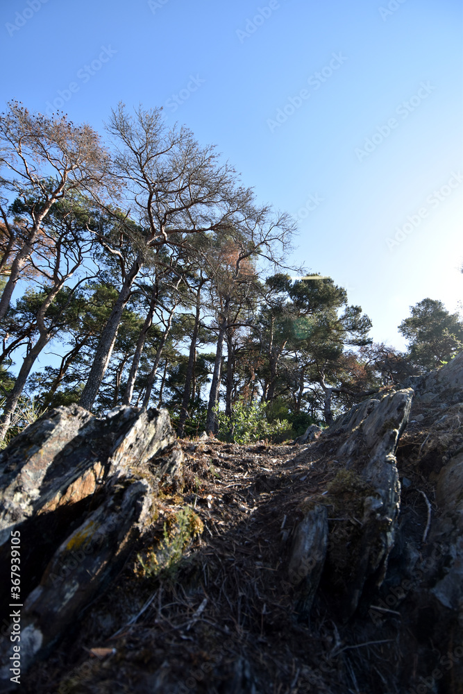 Kappleifelsen bei Laufersweiler Kappleifelsen bei Laufersweiler