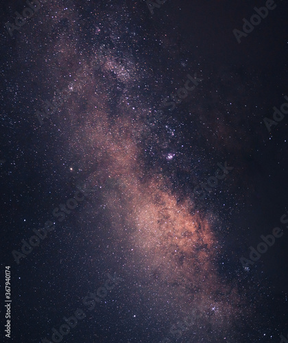 Galaxies and stars Milky Way In the night sky In the forest