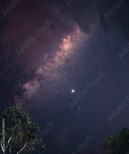 Fototapeta Naklejka Na Ścianę i Meble -  Galaxies and stars,Milky Way In the night sky In the forest