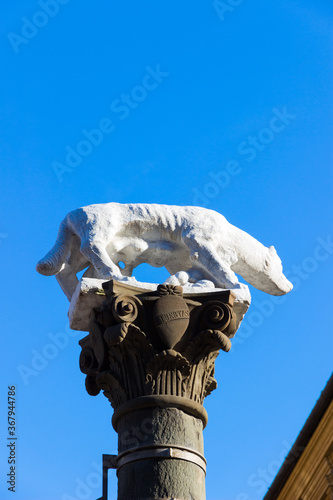 Sienese She-Wolf in Via Pantaneto in Siena, Italy photo