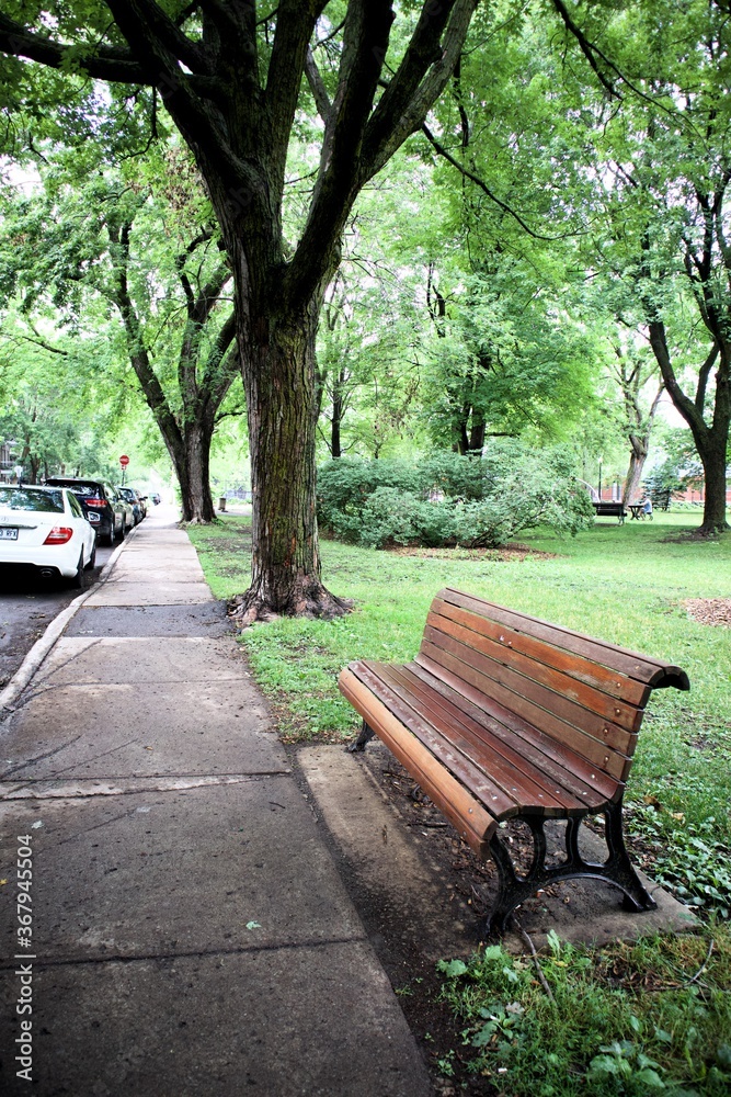 Bench in Park Baldwin, Plateau Mont-Royal, Montreal, right after the rain. Wet sidewalk. Bench in Park Baldwin, Plateau Mont-Royal, Montreal, right after the rain. Wet sidewalk.