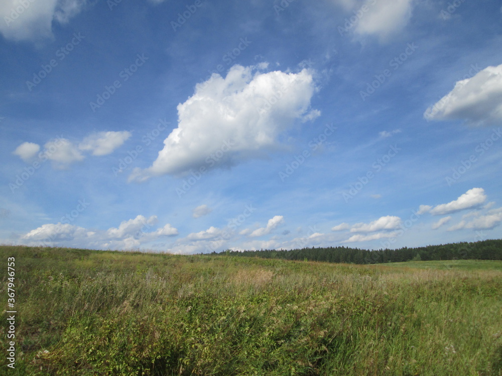 green field and blue sky green field and blue sky