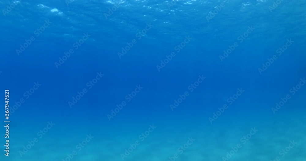 sun beams sun rays sun shine underwater nice light slow moving at the bottom reflections relaxing ocean scenery backgrounds sun beams sun rays sun shine underwater nice light slow moving at the bottom reflections relaxing ocean scenery backgrounds
