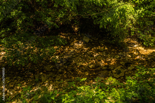 Stream with rocky bed flowing under shade trees