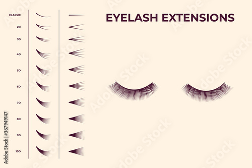 Eyelash volume boost set. Fake eyelashes cluster collection for extension process infographics and guides. Flat vector illustrations