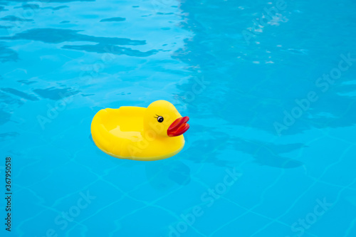 Child toy a yellow rubber duck in the blue swimming pool. The concept of summer vacations, holiday.