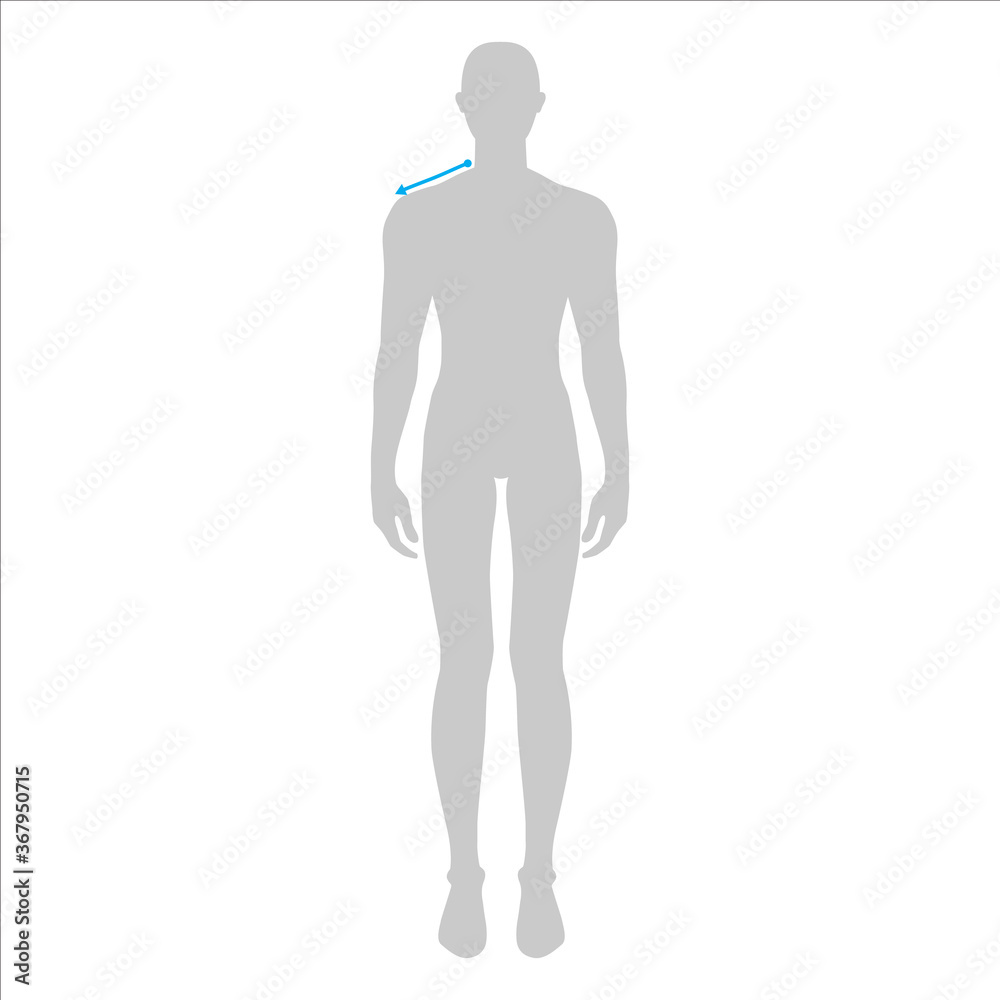 Men to do shoulder measurement fashion Illustration for size chart. 7.5 head size boy for site or online shop. Human body infographic template for clothes. 