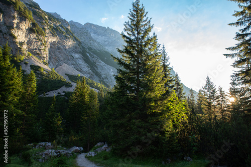 Sunrise on alps with pine trees and mountain