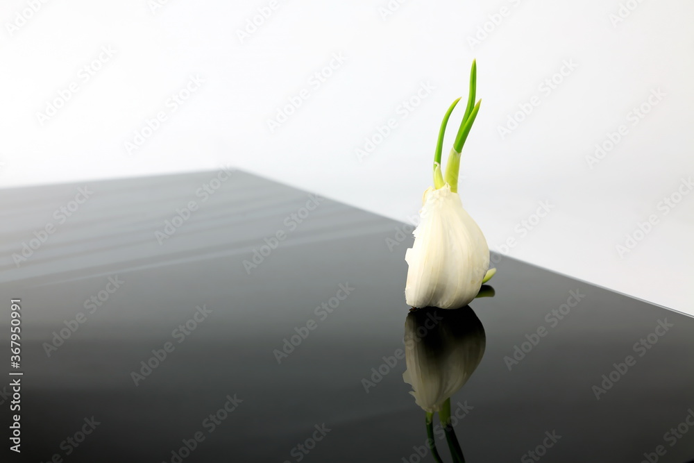 Obraz premium Knoblauch auf schwarzer Platte