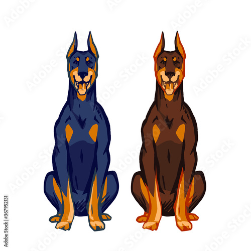 Black & Rust Doberman Dogs sitting. Stylized cartoon image. Stock vector illustration isolated on white background.