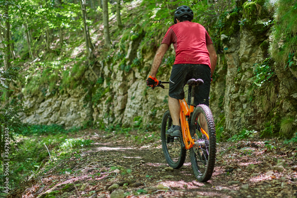 man cycling on a path in the middle of a green forest