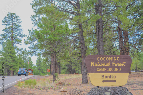 Coconino National Forest Campground Sign in northern Arizona Pine Forest