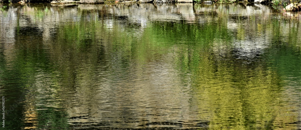 Górski staw Górski staw