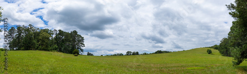 Rolling green meadows and emerald green hillside panorama with trees and stormy clouds, creative copy space, horizontal aspect