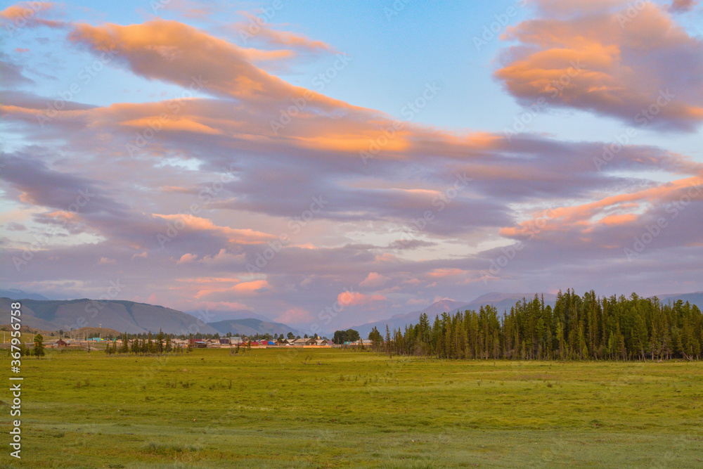 Obraz premium sunset over the field