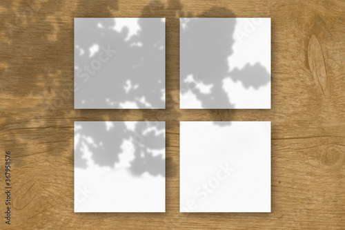 4 square sheets of white textured paper on the wooden table background. Mockup overlay with the plant shadows. Natural light casts shadows from the oak leaves. Flat lay, top view