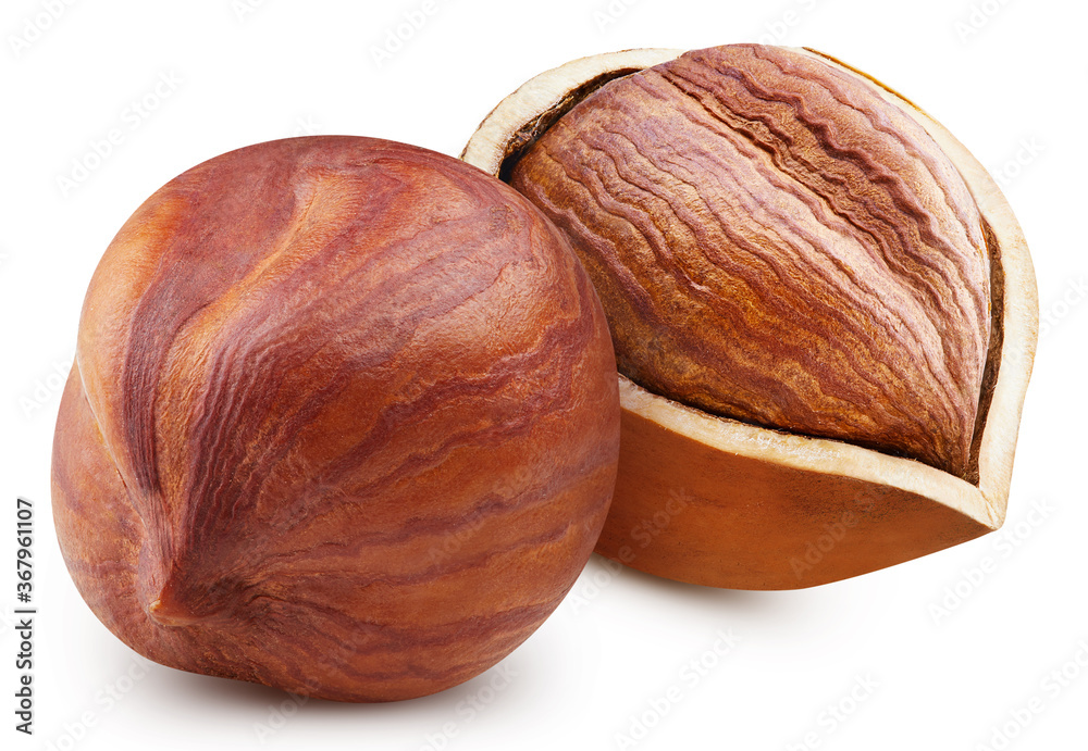 Hazelnut macro shoot food ingredient Hazelnut macro shoot food ingredient