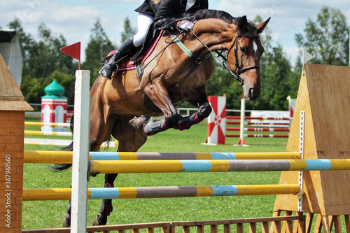 Girl in equestrian uniform on horseback jumping hurdle