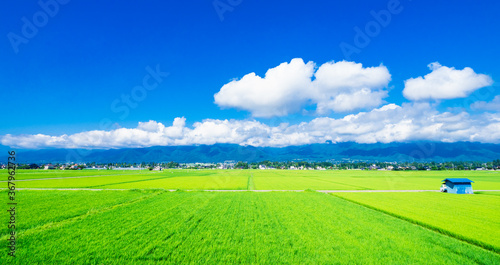 夏の信州　安曇野の田園風景　ワイド © oben901