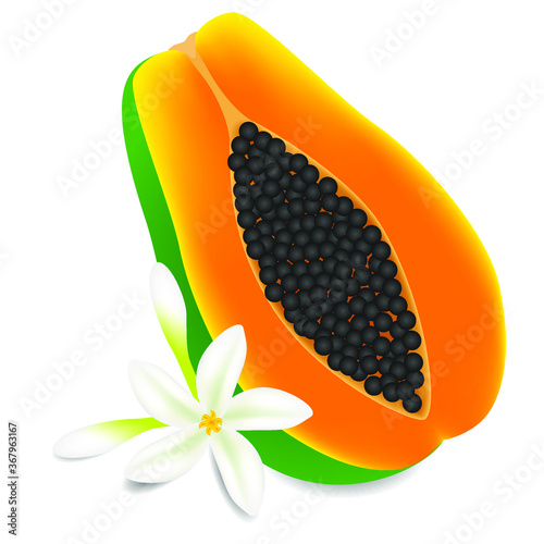 Half ripe papaya fruit with flowers isolated on white background.