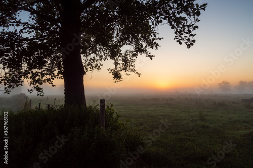 Letni poranek z mgłami w Dolinie Narwi, Podlasie, Polska © podlaski49