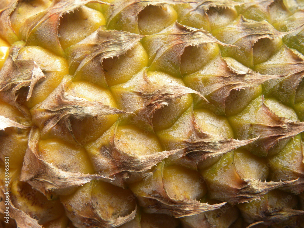 Yellow color whole ripe Pineapple fruit peel textured detail Yellow color whole ripe Pineapple fruit peel textured detail