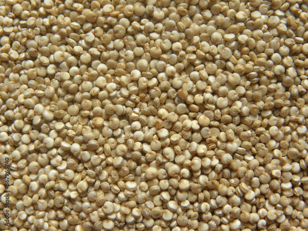 Beige color raw whole Quinoa seeds Beige color raw whole Quinoa seeds