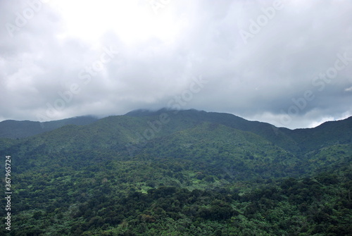 El Yunque Regenwald, Puerto Rico