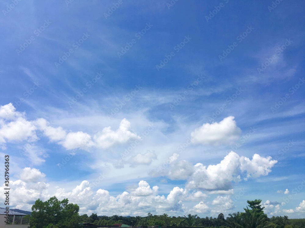 background nature sky and tree background nature sky and tree