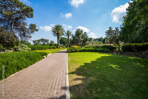 The walk in a clean well-kept park