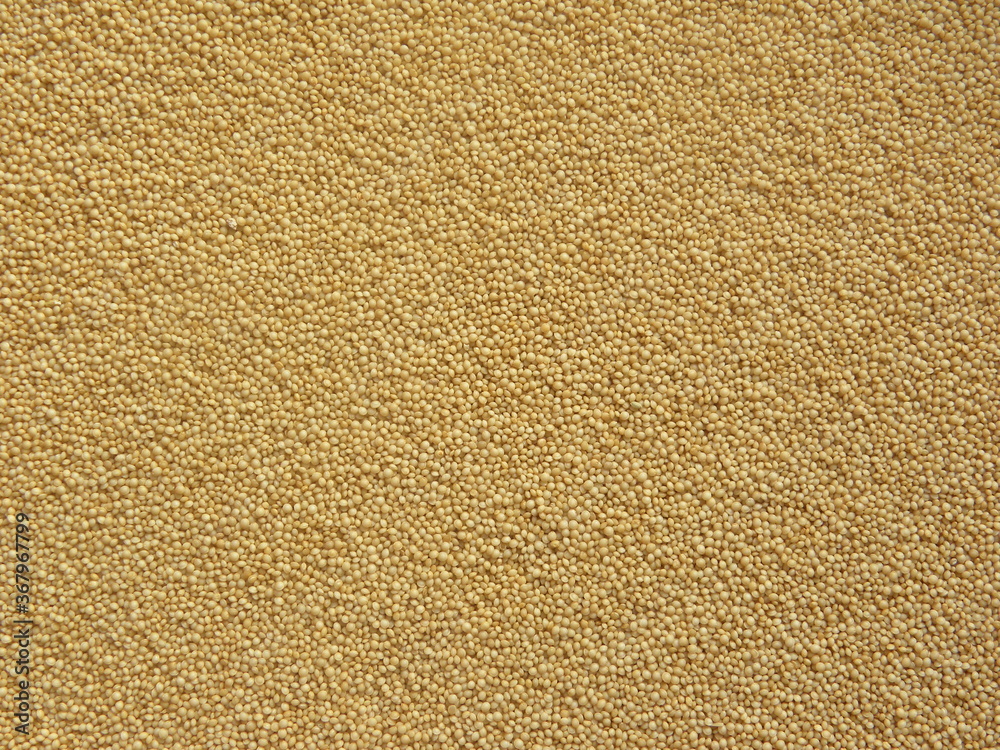 Beige color raw whole Amaranthus seeds Beige color raw whole Amaranthus seeds