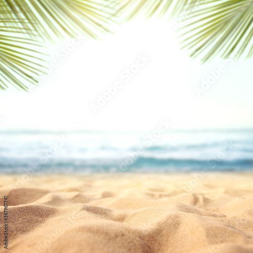 Fototapeta Naklejka Na Ścianę i Meble -  Green palm leaf on tropical sand beach with sea abstract background. Copy space of summer vacation and business travel concept.