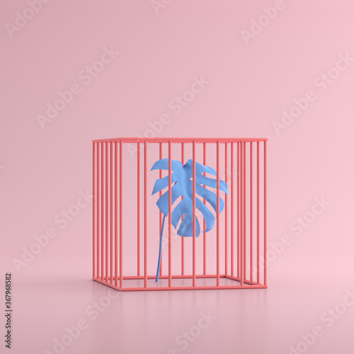 Mock up of a cage with blue plant. 3d render.