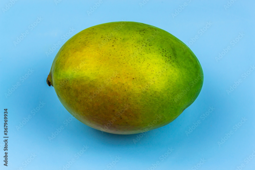 Ripe mango fruit on a blue background