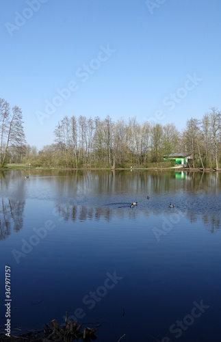 Fototapeta Naklejka Na Ścianę i Meble -  Weiher bei Muenster-Breitefeld