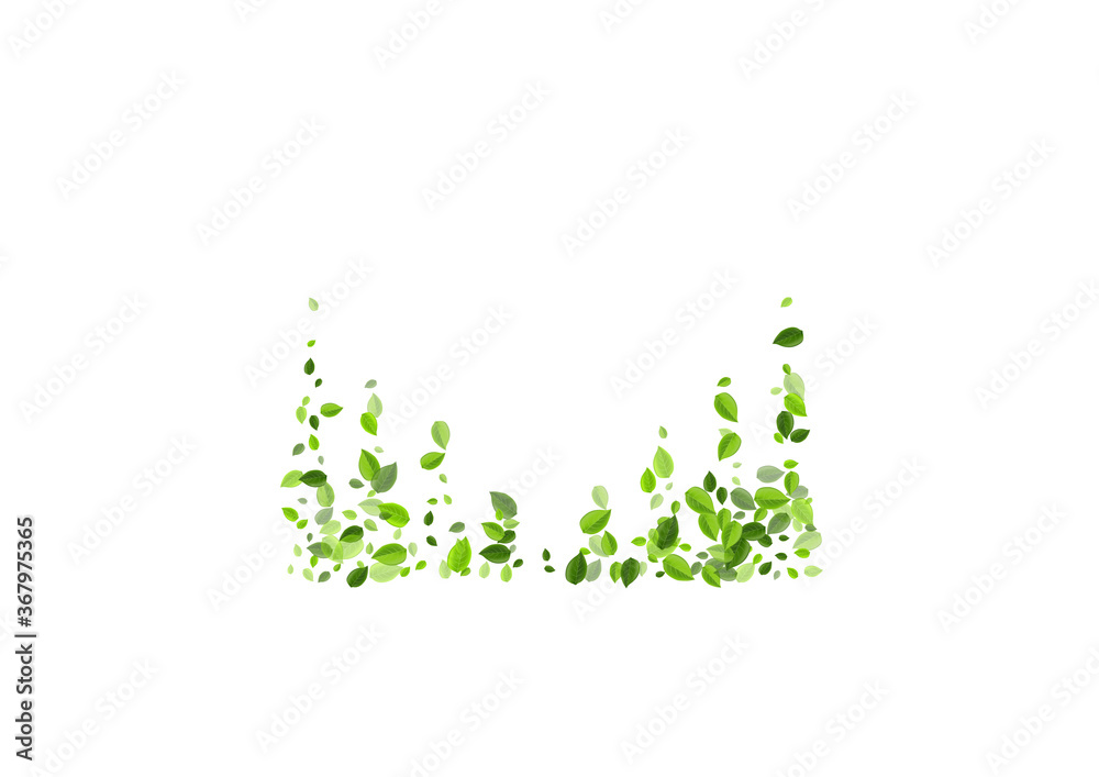 Mint Greens Blur Vector Background. Spring Leaf Mint Greens Blur Vector Background. Spring Leaf