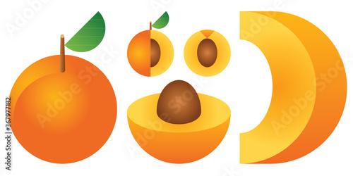 Vegetables and fruits illustration