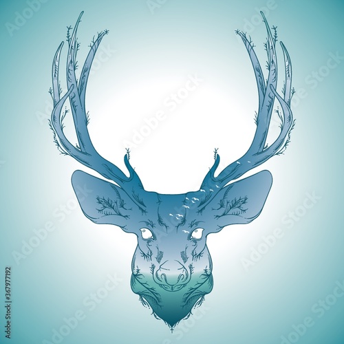 reindeer