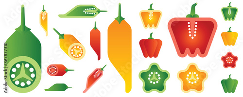 Vegetables and fruits illustration
