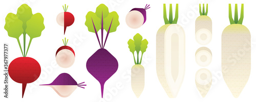 Vegetables and fruits illustration