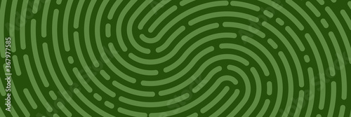 Fingerprint background. Unicum finger print