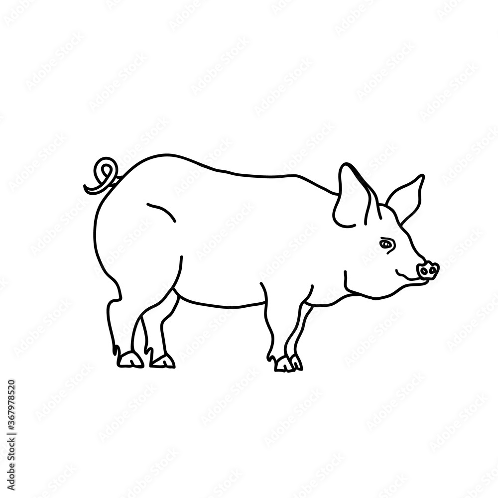 Domestic pig vector illustration. Farm animal line hand drawn icon.